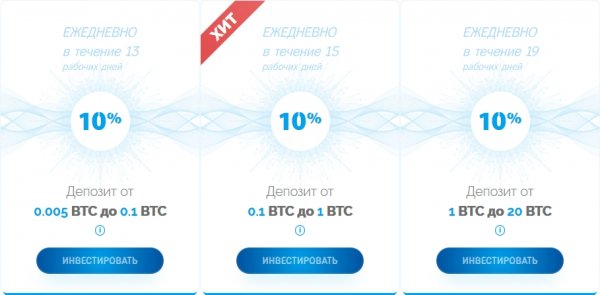 bitnerves.io �����, bitnerves.io ������, bitnerves.io ����������, bitnerves.io ��������, bitnerves.io ����, bitnerves.io ���������, bitnerves.io ������, bitnerves.io hyip, bitnerves.io rcb