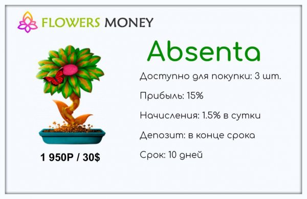 �����, Absenta, ������, Greenery, �����������, �������, ������, �����������, ��������, ��������������, Gloriya, ������, �����, �����, �������, ������, ���������, ��������, ��������, Flowers