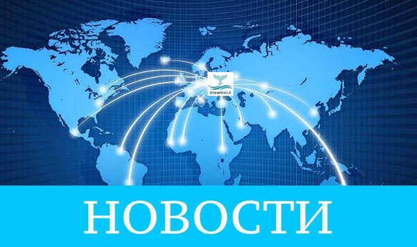 �����, ���������, ������, ��������, �����, ����������, ���������, ����������, ����������, Biswhale, �����������, ��������, �����, ������