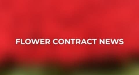 contract, ��������, flower, �����, FlowerContractSupport, ���������, ��������, �����, �������, �����, ����������, ����������, ���������, ��������������, �����������, ��������, ���������, �������, Flower, �������