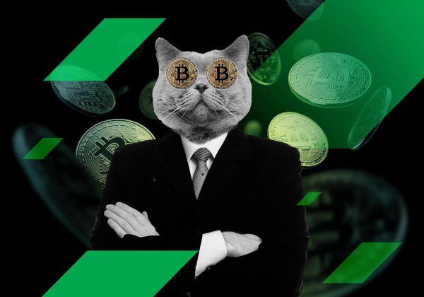 ��������, ����������, �������������, �������, ������, �����, �������, �������, ������������, �������������, �������, �������, �������, ���������, �������, ���������, ��������, ����������, ����������, �������