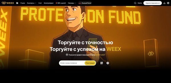 �����������, WEEX, ����� �����������, �������� �������������, �������������� ����� 2025, ��������, �������� ��������, ����-��������, ����-����, ����� WXT, ��������, ����������, ��������� �����